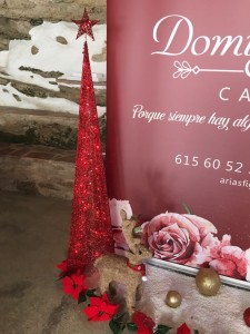 Cena de Navidad en el Huertecillo - Catering Domingo Arias