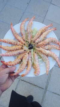 Cena Navidad Dos Hermanas - Catering Domingo Arias